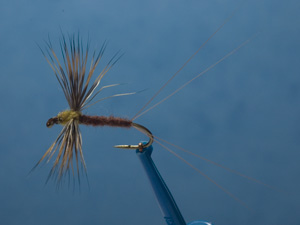 March Brown spinner fly, deer hair wing image