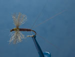 March Brown spinner fly, poly wing image