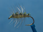 Crackleback, BWO image