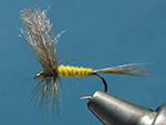 Dry Flies page link