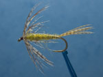 Brown Drake soft hackle emerger fly image