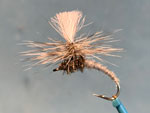  Klinkhammer, Adams grey image