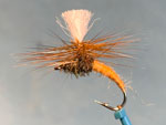Tan Klinkhammer image