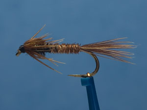 Pheasant Tail Nymph, natural image 