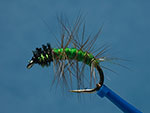 Caddis Nymph page link