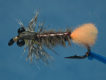 John's Hex, orange tail image