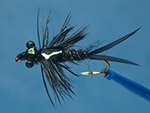 Stonefly nymph flash back image link.