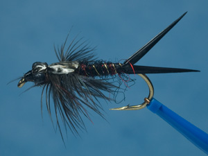 Stonefly Nymph image link.