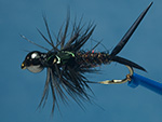 Bead Head Stonefly Nymph flashback image link.