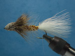 Wolly Sculpin image